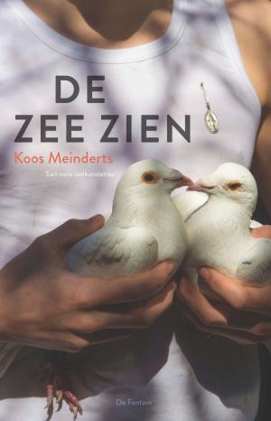 Cover of the book De zee zien by Jos van Manen Pieters