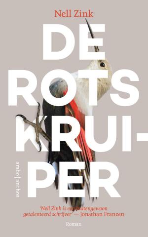 Cover of the book De rotskruiper by Alyxandra Harvey