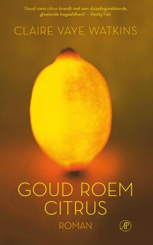 Cover of the book Goud roem citrus by Mike Nicol