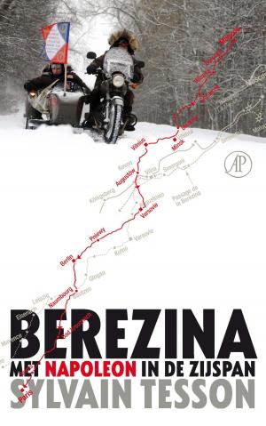 Cover of the book Berezina by David Barnouw