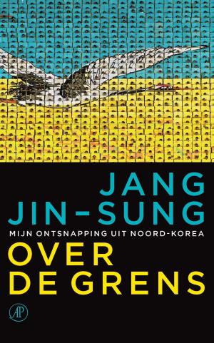 Cover of the book Over de grens by Joke van Leeuwen