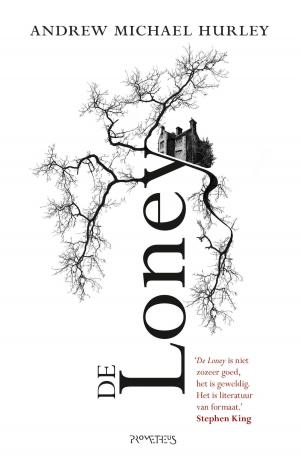 Cover of the book De Loney by Sebastian Faulks