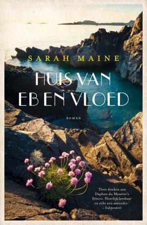 Cover of the book Huis van eb en vloed by Stieg Larsson
