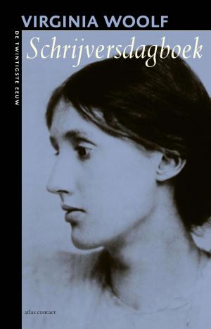 Cover of the book Schrijversdagboek by Nina Willner