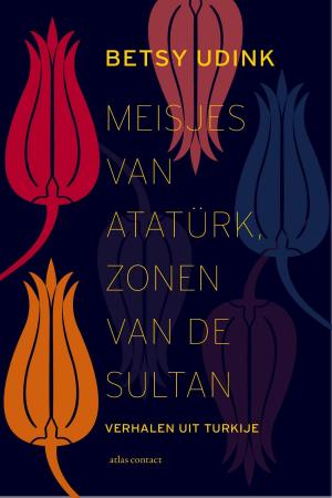 Cover of the book Meisjes van Atatürk, zonen van de sultan by Gerrit Jan Zwier