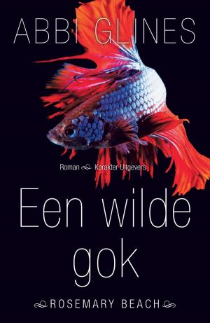 Cover of the book Een wilde gok by Amy Morin
