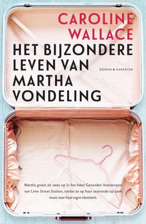 Cover of the book Het bijzondere leven van Martha vondeling by André Hoogeboom