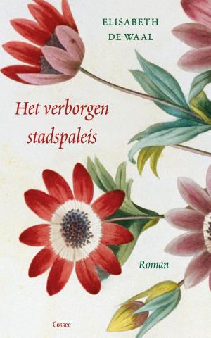 Cover of the book Het verborgen stadspaleis by David Grossman