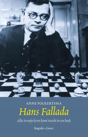 Cover of the book Hans Fallada by Patrick Day