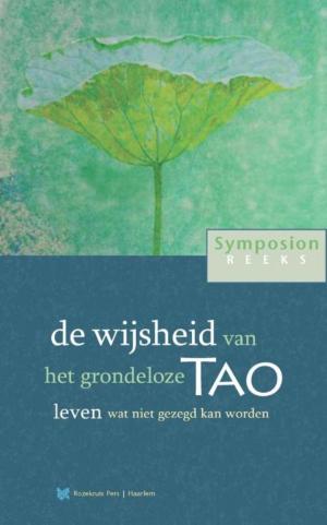 Cover of the book de wijsheid van het grondeloze Tao by Boer de André, Rozema Tanja