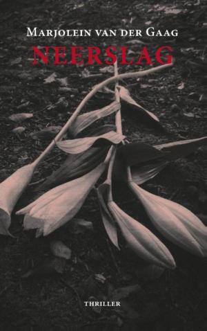Cover of the book Neerslag by Derek Swannson, Darren Westlund