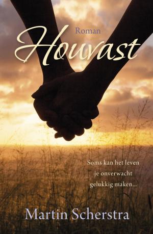 Cover of the book Houvast by Mirjam van der Vegt