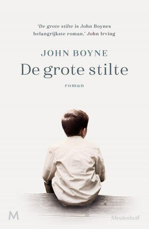 Cover of the book De grote stilte by Jackie van Laren