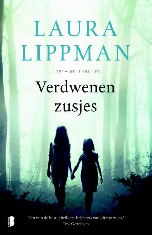 Book cover of Verdwenen zusjes