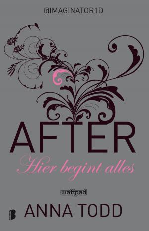 Cover of the book Hier begint alles by Jennifer Probst