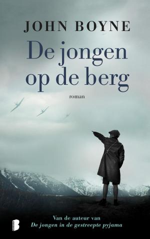 Cover of the book De jongen op de berg by Karl May
