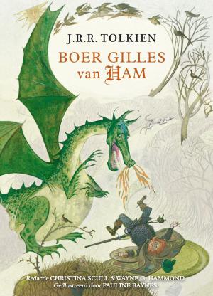 Book cover of Boer Gilles van Ham