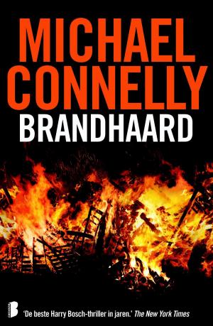 Cover of the book Brandhaard by Chris Ryan
