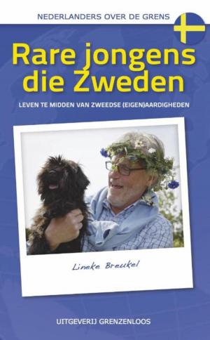 Cover of the book Rare jongens, die Zweden by Esther Radstaak
