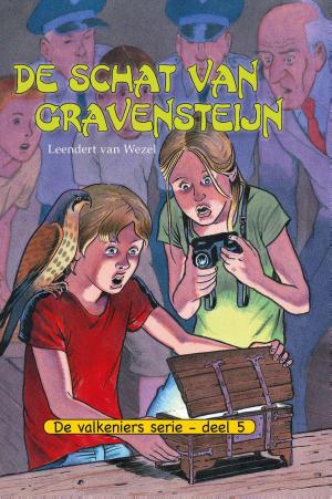 Cover of the book De schat van Gravensteijn by Leendert van Wezel