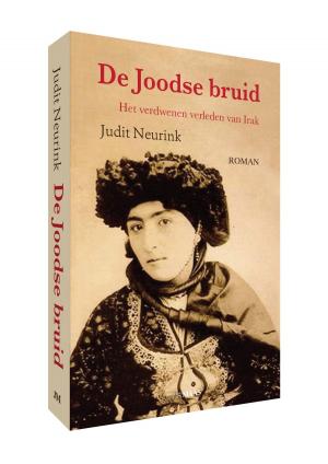 Cover of the book De Joodse bruid by David Grabijn