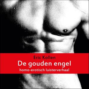 Cover of the book De gouden engel by Vallory Vance