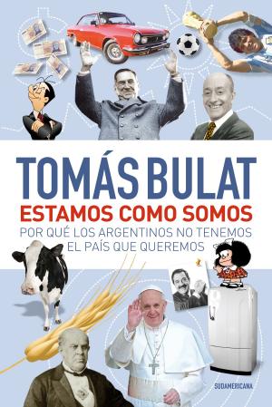 Cover of the book Estamos como somos by Diego Borinsky
