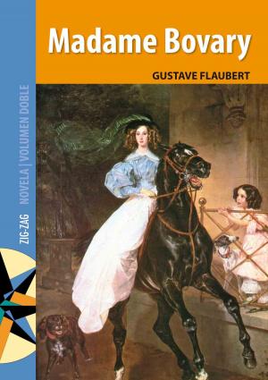Cover of the book Madame Bovary by Saúl Schkolnik