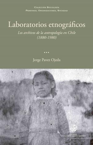 Cover of the book Laboratorios etnográficos by Fernando Montes