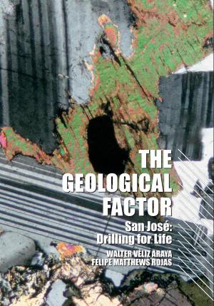 Cover of the book The Geological Factor by Bernardo Guerrero