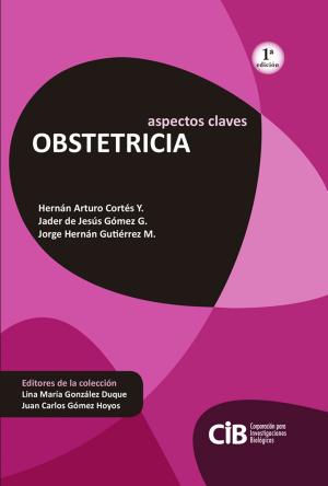 Cover of the book Obstetricia by David Nordmark