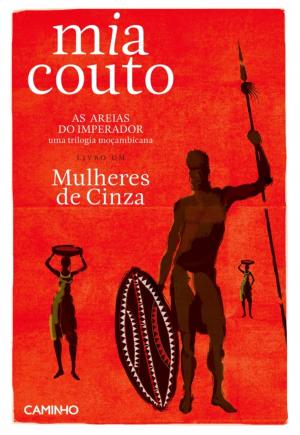 Book cover of Mulheres de Cinza
