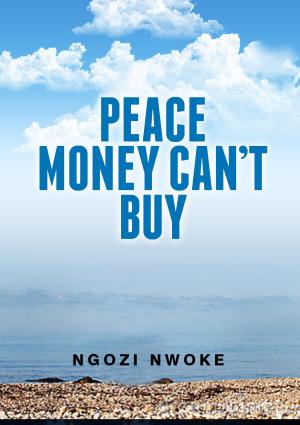 Cover of the book Peace Money Can't Buy by Dr. Jane Myers Drew PhD
