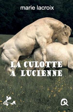 Cover of the book La culotte à Lucienne by Sullivan Rabastens