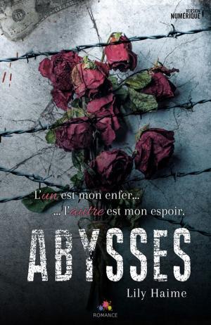Cover of the book Abysses by Josh Lanyon