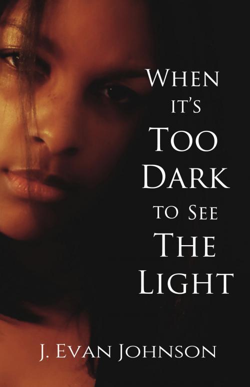 Cover of the book When it's Too Dark to See the Light by J. Evan Johnson, 20 Theory Books
