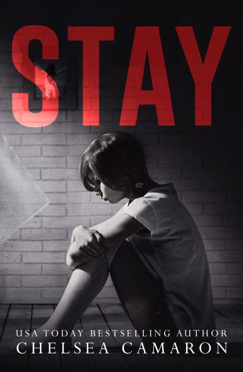 Cover of the book Stay by Chelsea Camaron, Carolina Dreams Publishing, LLC