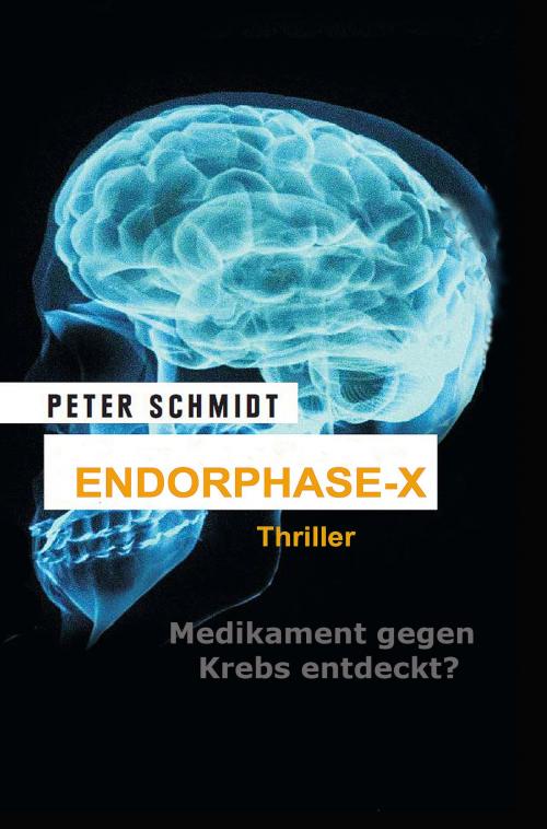 Cover of the book Endorphase-X by Peter Schmidt, Peter Schmidt