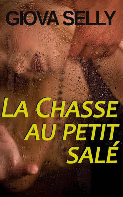 Cover of the book La Chasse au petit salé by Giova Selly, GLM LLC