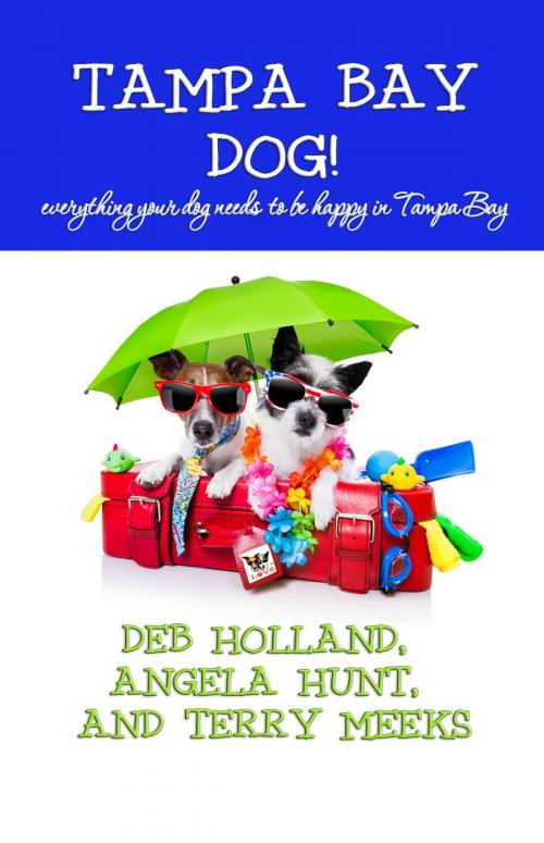 Cover of the book Tampa Bay Dog by Angela Hunt, Terry Meeks, Deb Holland, Hunt Haven Press