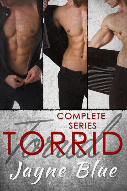 Cover of the book Torrid - The Complete Series by Jayne Blue, Jayne Blue