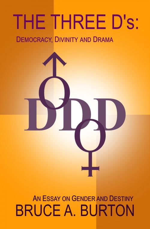 Cover of the book The Three D's by Bruce A. Burton, SynergEbooks