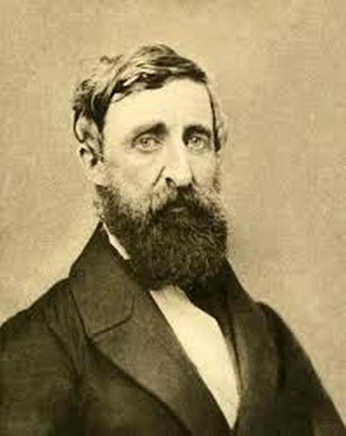 Cover of the book Works of Henry David Thoreau by Henry David Thoreau, Liongate Press