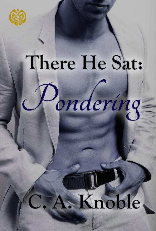 Cover of the book There He Sat: Pondering by C. A. Knoble, Eirelander Group MultiMedia
