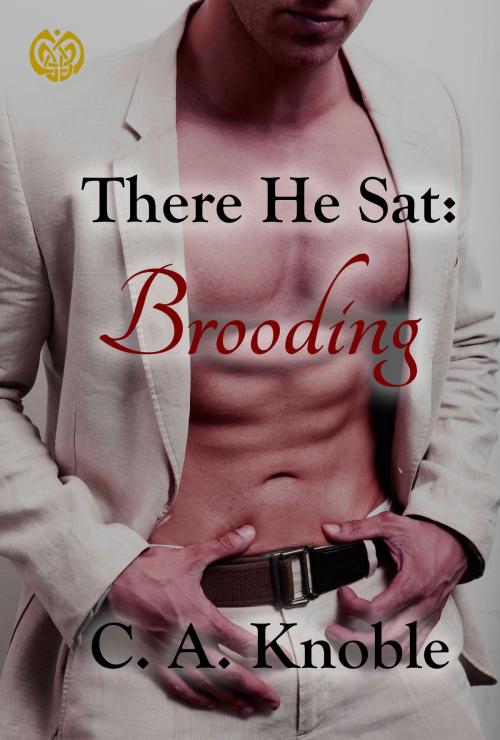 Cover of the book There He Sat: Brooding by C. A. Knoble, Eirelander Group MultiMedia