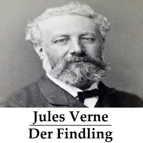 Cover of the book Der Findling (komplett) by Jules Verne, Consumer Oriented Ebooks Publisher
