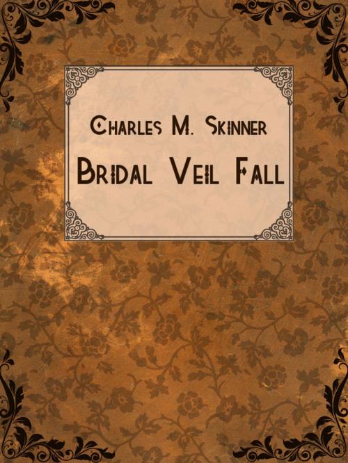 Cover of the book Bridal Veil Fall by Charles M. Skinner, Media Galaxy