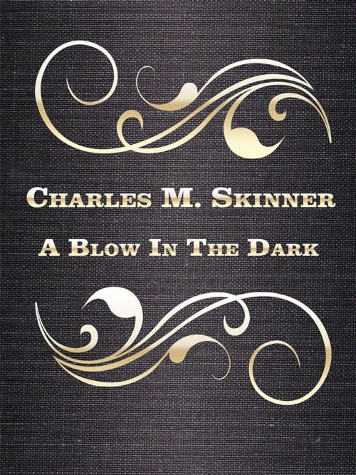 Cover of the book A Blow In The Dark by Charles M. Skinner, Media Galaxy