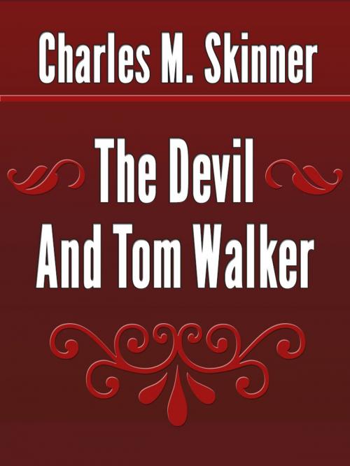 Cover of the book The Devil And Tom Walker by Charles M. Skinner, Media Galaxy