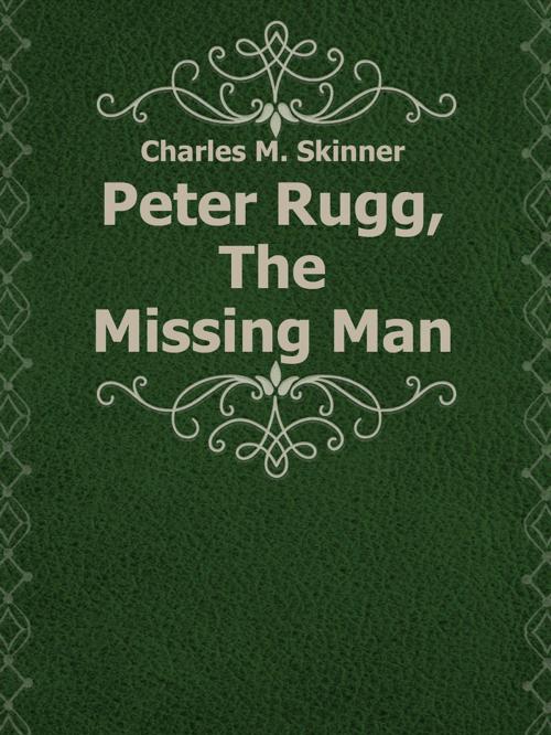 Cover of the book Peter Rugg, The Missing Man by Charles M. Skinner, Media Galaxy